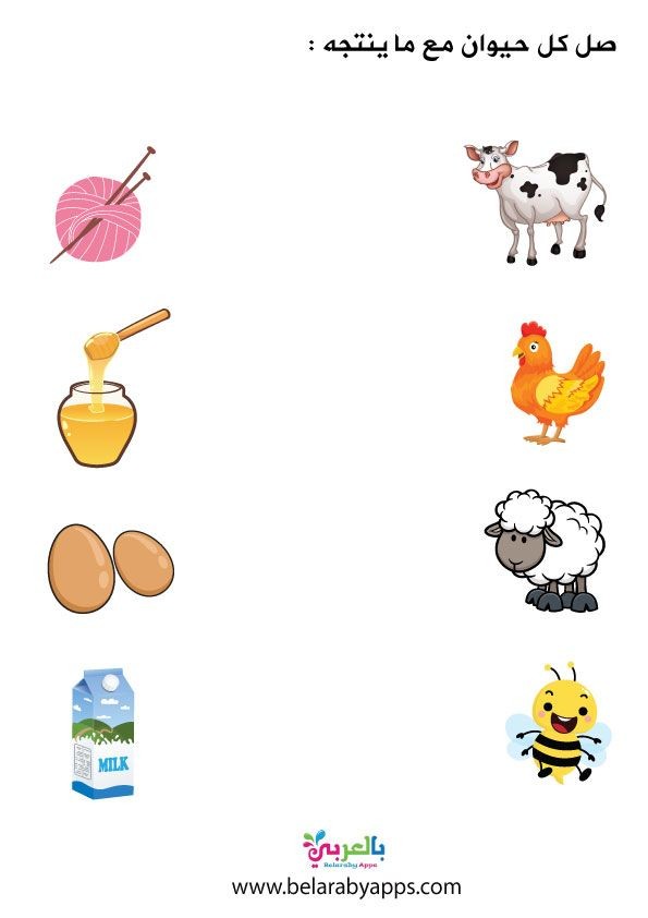   بطاقات تعليميه